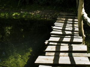 Madera