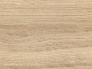 Hadar Beige