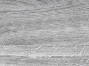 Hadar Gris